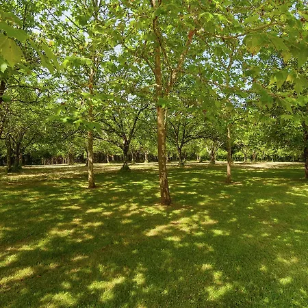 Restored With Private Pool Holiday home Campsegret