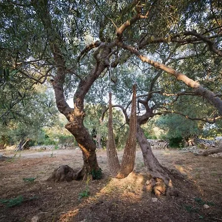 Restored With Private Pool