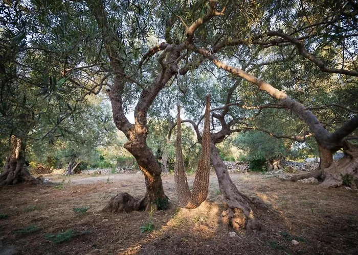 Restored With Private Pool